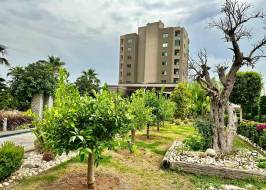 msg735521735-177992_түпнұсқа