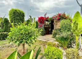 msg735521735-177993_түпнұсқа