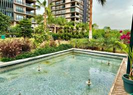 msg735521735-177995_түпнұсқа