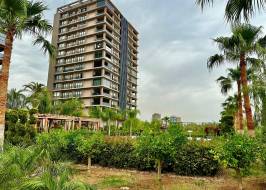 msg735521735-177998_түпнұсқа