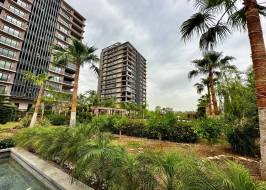 msg735521735-177999_түпнұсқа