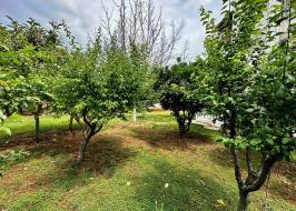 IMG_6946_түпнұсқа