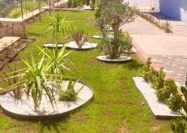 msg735521735-178145_original