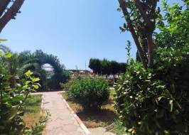 WhatsApp_Сурет_2024-06-08_ат_13.30.42_түпнұсқа