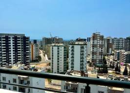 IMG_3B6EE800B123-9_Original_Copy_1