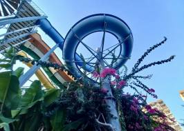 15ec95e3-0d8b-4029-9544-423167935179_original