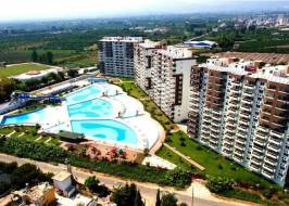 liparis-7-1_original