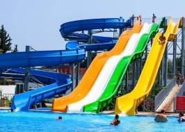 liparis-7-4_original