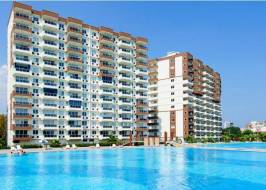 liparis-7-7_original