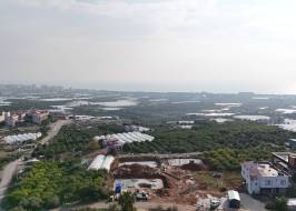 WhatsApp_Image_2024-12-28_at_11.00.49_original