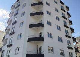 2025_02_12_11_17_IMG_2768_original