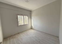 2024_12_19_10_39_img_0920_riginal