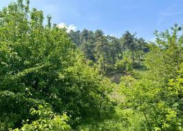 Whatsapp_image_2025-05-08_at_16.26.48_1_ORIGINAL