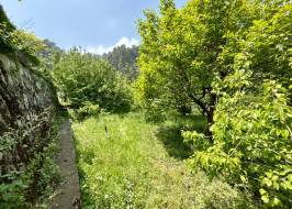 Whatsapp_image_2025-05-08_at_16.26.48_Original