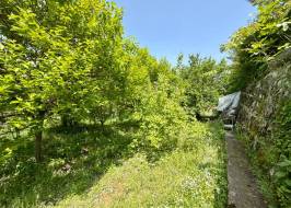 Whatsapp_image_2025-05-08_at_16.26.49_2_ORIGINAL