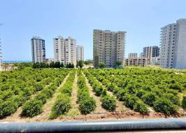 Photo_2025-05-16_14-04-54_ORGINAL