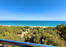 Whatsapp_image_2025-07-08_at_10.27.22_original