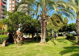 FOTO_2025-07-23_10-51-59_ORGINAL