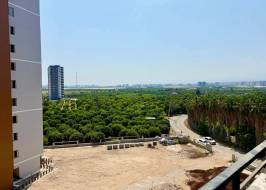 Photo_2025-07-24_22-49-36_ORGINAL