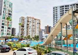 photo_2025-08-01_20-44-27_original