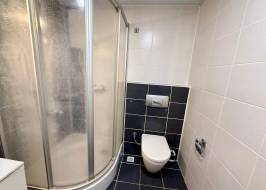 AS311516v19_original