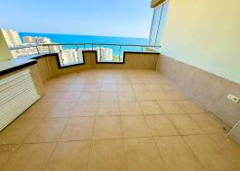 AS311516v24_original