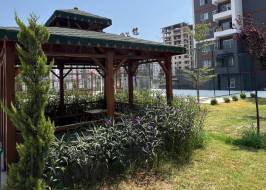 NA656421v15_original